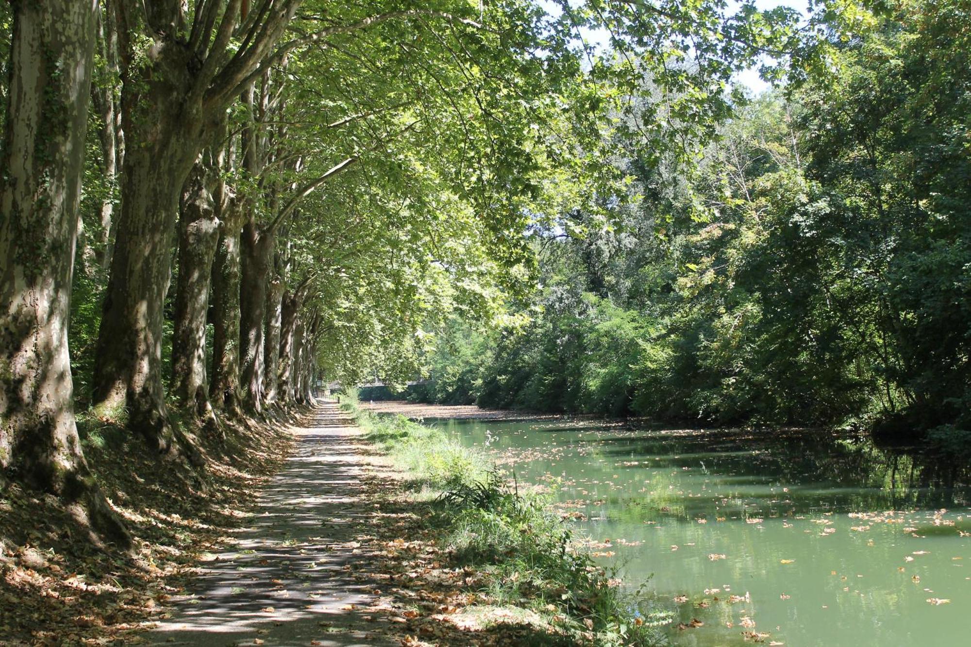 Atena Bordeaux Sud Est Creon - Velo Friendly Bagian luar foto